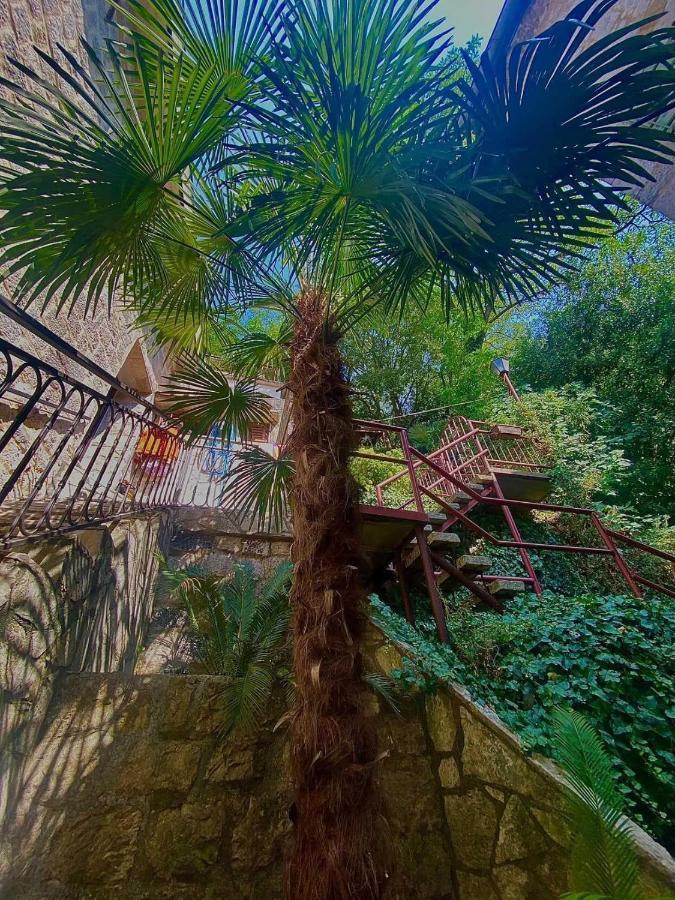 Vincenza Apartment Κότορ Εξωτερικό φωτογραφία